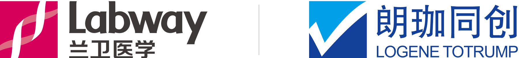 d4_logo16.png