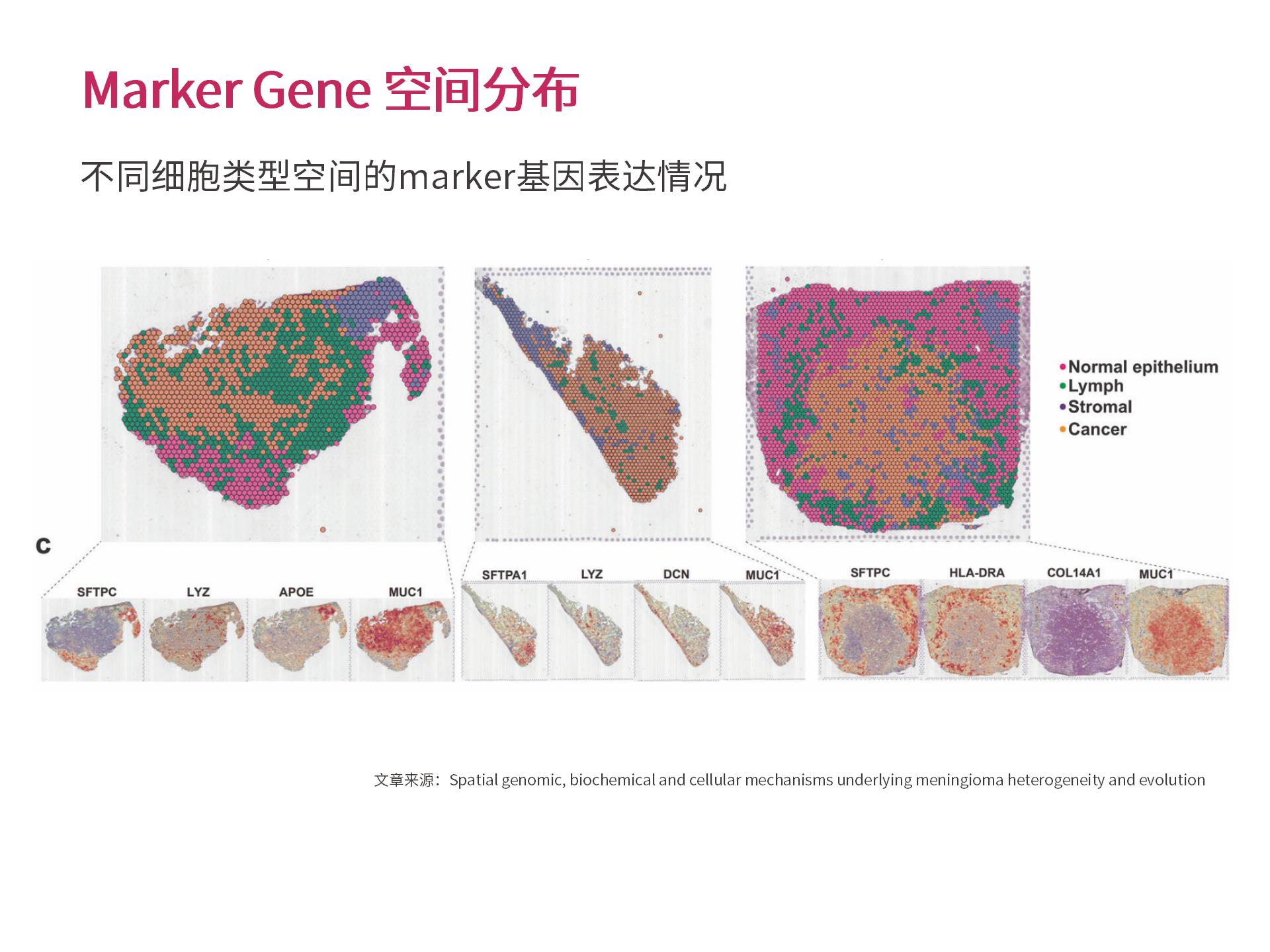 官网个性化生物信息分析 (2.25)--_12.jpg
