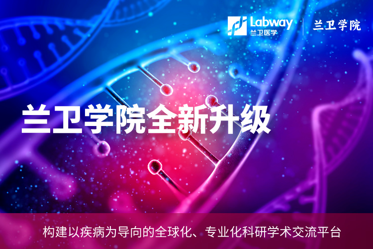 副本_副本_副本_互联网新品颁布会宣传简约手机海报Pro__2025-01-21+21_30_26.jpg