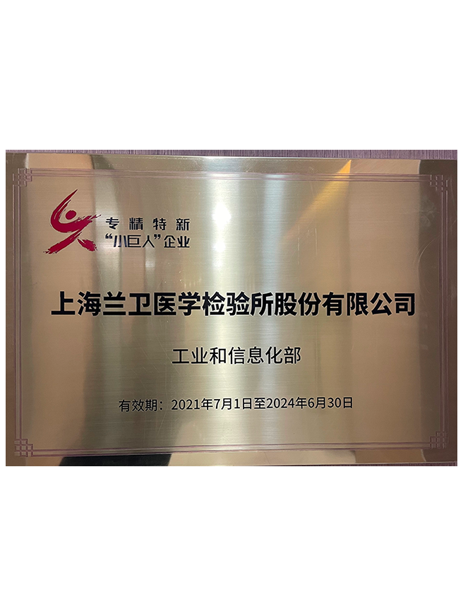 01 武汉老子有钱lzyq88高新证书2022-2025年-1.png